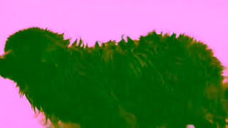 Petro-Canada Go Long with PetroCanada Long Shake Ad Commercial Brand Imagery Photoshoot 1