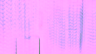 Homes.com Homescom Environmental Search Ad Commercial Brand Imagery Photoshoot 0