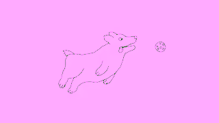 AHM ahm Official Sponsor of the National Pickleball League Ad Commercial Brand Imagery Photoshoot 1