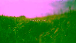 LINNE CALODO WINE VISIT LINNE CALODO A PASO ROBLES WINE EXPERIENCE Ad Commercial Brand Imagery Photoshoot 0