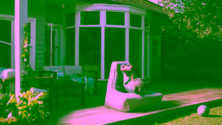 Dodo DODO17MOB15 Dodo 15 Flex 16x9 OLV v1 Extension Aug25 Ad Commercial Brand Imagery Photoshoot 0