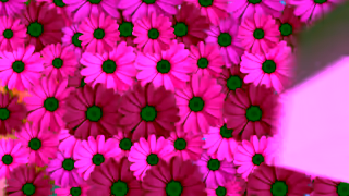 Bref Bref Duo Cubes Flower new Clear Water clean fresh toilet recommended by Home Tester Club Ad Commercial Brand Imagery Photoshoot 0