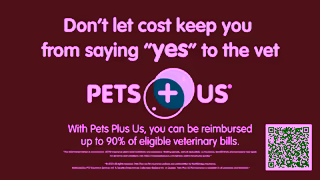 Pets Plus Us Say Yes to the Vet Ad Commercial Brand Imagery Photoshoot 2