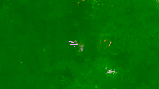 SITKA Gear Cover Launch Ad Commercial Brand Imagery Photoshoot 2