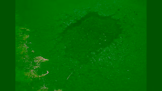 NRMA RSA 15 Max Tyre Were for Max Ad Commercial Brand Imagery Photoshoot 1