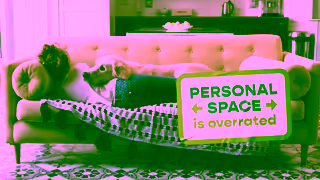 Freshpet Full beds fuller hearts Ad Commercial Brand Imagery Photoshoot 1