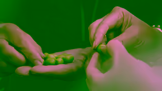 Vasse Virgin Vasse Virgin Ad Commercial Brand Imagery Photoshoot 0