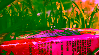 Xbox AUGAugSatTrailer16x9YouTubeYTNNN30sAN1ENCA Ad Commercial Brand Imagery Photoshoot 1