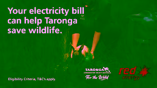 Red Energy Switch to Red Wildlife Saver Ad Commercial Brand Imagery Photoshoot 0