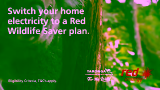 Red Energy Switch to Red Wildlife Saver Ad Commercial Brand Imagery Photoshoot 1