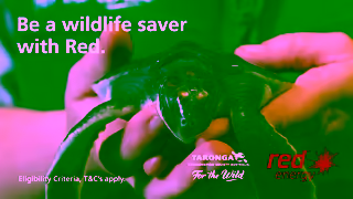 Red Energy Switch to Red Wildlife Saver Ad Commercial Brand Imagery Photoshoot 2