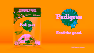 Pedigree PEDIGREE Pouch As Healthy as it is tasty Ad Commercial Brand Imagery Photoshoot 2