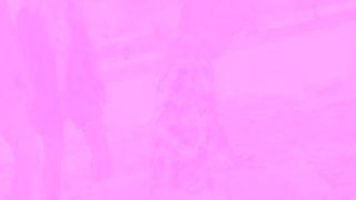 Coast Hotels Pet Friendly Hotels Ad Commercial Brand Imagery Photoshoot 1