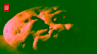 LU Biscuits Le Petit Cookie from LU Theres nothing petit about it Ad Commercial Brand Imagery Photoshoot 1
