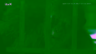 ITV Media Watch War for the Planet of the Apes now on ITVX action survival and epic battles await ITV Ad Commercial Brand Imagery Photoshoot 1