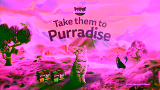 Whiskas WHISKAS Purradise 6 Ad Commercial Brand Imagery Photoshoot 1