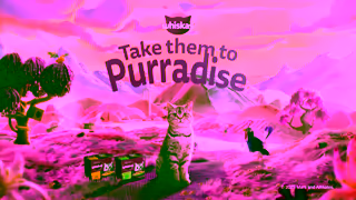Whiskas WHISKAS Purradise 6 Ad Commercial Brand Imagery Photoshoot 2