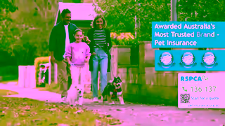 RSPCA RSPCA Pet Insurance Saturday Morning TVC 60 secs Ad Commercial Brand Imagery Photoshoot 2