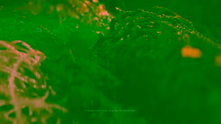 Hyundai Hyundai allelectric IONIQ 6 30 Ad Commercial Brand Imagery Photoshoot 1