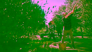 Filippo Berio 01264 01 uncompromising quality 16x9 trueview ad 30sec 1080p 1 Ad Commercial Brand Imagery Photoshoot 1