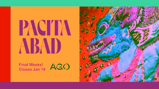 Art Galley of Ontario Pacita Abad Last Chance Ad Commercial Brand Imagery Photoshoot 2