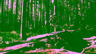 GIANT Bicycles Dream Big The AllNew Faith GV Cutdown 16x9 Giant Bicycles Ad Commercial Brand Imagery Photoshoot 1