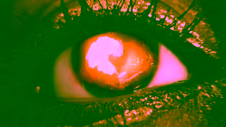 HERDEZ Take the trip Fair Canada Ad Commercial Brand Imagery Photoshoot 0