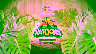 Kinder Kinder Surprise Natoons Discovery Koala 15 Ad Commercial Brand Imagery Photoshoot 0