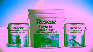 Resene Cool Turtles Ad Commercial Brand Imagery Photoshoot 2