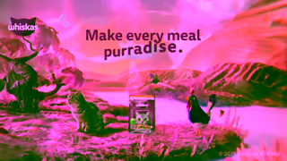 Whiskas WHISKAS 2262 Product Detail Page EN Ad Commercial Brand Imagery Photoshoot 2