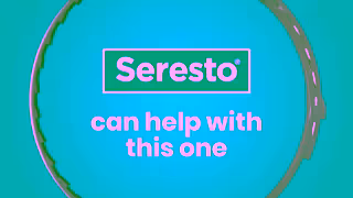 Elanco Seresto for Pets 1 VetRecommended Flea Tick Collar to Stop the Suck Ad Commercial Brand Imagery Photoshoot 1