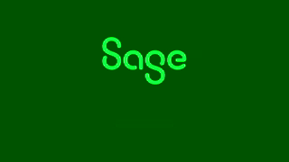 Sage Sage Ai built with you for you Ad Commercial Brand Imagery Photoshoot 2