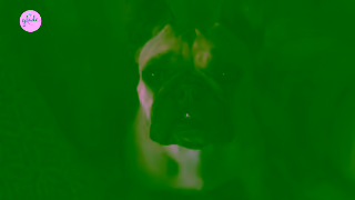 Glade Glade Sense Spray Ad Commercial Brand Imagery Photoshoot 0