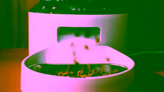 PETLIBRO Petlibro Designed better for your lives together Ad Commercial Brand Imagery Photoshoot 0