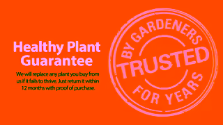 Mitre10 Bring your garden plans to life at Mitre 10 Ad Commercial Brand Imagery Photoshoot 2