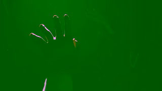 Lincoln Navigator 2024 Full Moon avec Lincoln BlueCruise 30s Lincoln Ad Commercial Brand Imagery Photoshoot 1