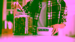 Purina Quality Dog Food Just Look for Our Name Ad Commercial Brand Imagery Photoshoot 1