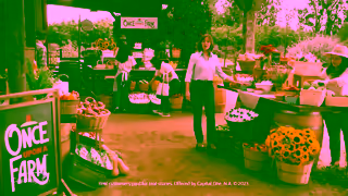 Capital One Venture X Business Card Once Upon A Farm 30 Capital One Ad Commercial Brand Imagery Photoshoot 0