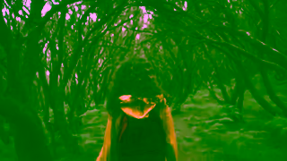 Visit Madeira EXPERIENCE MADEIRA FOR YOURSELFNATURE Ad Commercial Brand Imagery Photoshoot 1