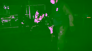 The Donkey Sanctuary Q4 RG 45s Ad Commercial Brand Imagery Photoshoot 0