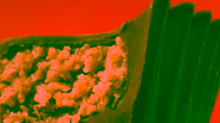 Reese's Nutty Cravings Ad Commercial Brand Imagery Photoshoot 0