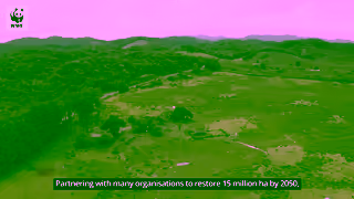 WWF Helping Atlantic Forests Ad Commercial Brand Imagery Photoshoot 1