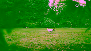 The Greenies Dental Treats Greenies US 2024 WBMW Stash 15s OLV 16x9 2398fps 16lufs v1 CAen 769206 2 Ad Commercial Brand Imagery Photoshoot 1