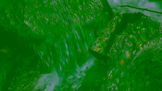 Visit Japan 1Through a Day at ShirakamiSanchi World Natural Heritage in Japan Ad Commercial Brand Imagery Photoshoot 0