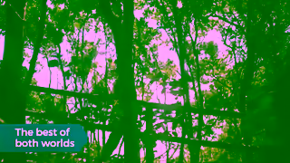 Southern Cross University Term 1 2024 TOFU Brand Awareness YT Ad 06 Ad Commercial Brand Imagery Photoshoot 1