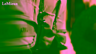 LeMieux 1 LM YT Rugs LONG 30s 16x9 BC Ad Commercial Brand Imagery Photoshoot 1