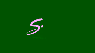 Snooze SNZ38BFONYT15 Ad Commercial Brand Imagery Photoshoot 2