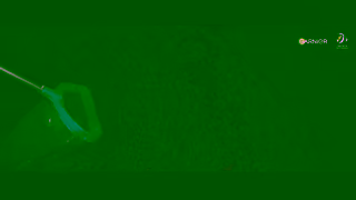 Garnier Garnier x Great Barrier Reef Foundation Plant a Coral 1 Min Coles Campaign Ad Commercial Brand Imagery Photoshoot 1