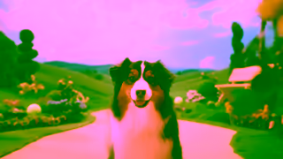 Butternut Box Summer Campaign6sTVC Bumper 1 Ad Commercial Brand Imagery Photoshoot 0