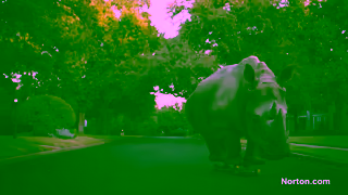 Norton Norton VPN Ultimate Advanced tech for advanced threats Ad Commercial Brand Imagery Photoshoot 0